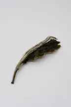 Mǔdān Wáng