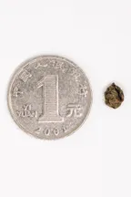 Ginseng Oolong