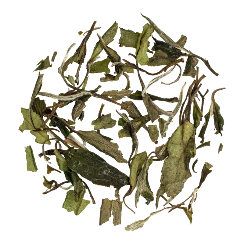 Bái Mǔdān Xīn Chá