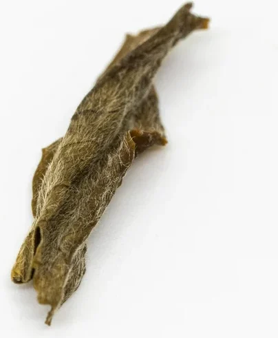 岳陽黃茶