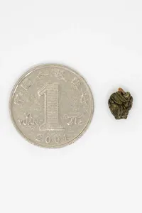 Shānlínxī Oolong