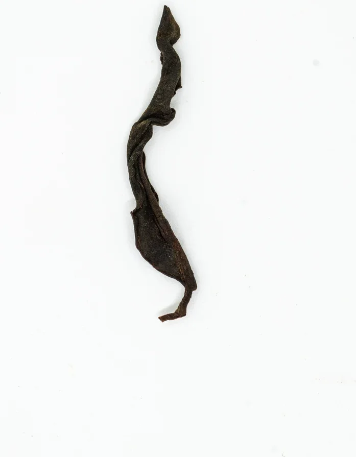 Yúnnán Gǔ Shù Hóng Chá