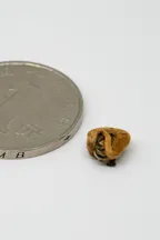 Diān Hóng Jīn Luó