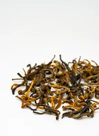 滇紅金芽