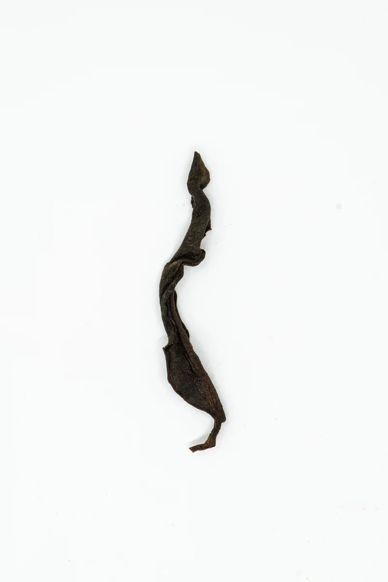Yúnnán Gǔ Shù Hóngchá