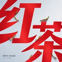 Báilín Gōngfū
