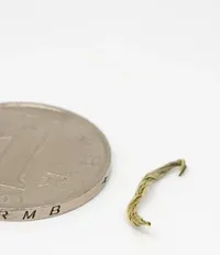 Билочунь
