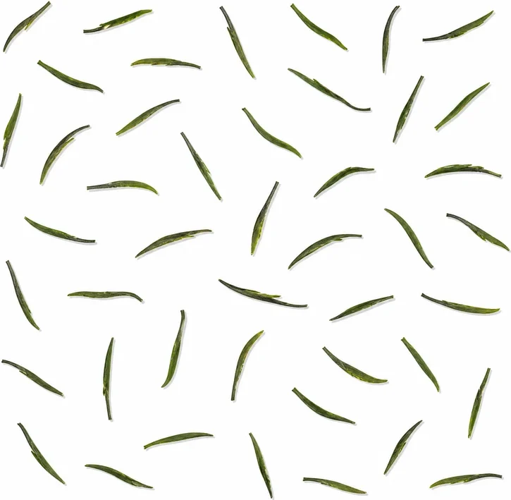 Qiāndǎo Yù Yè