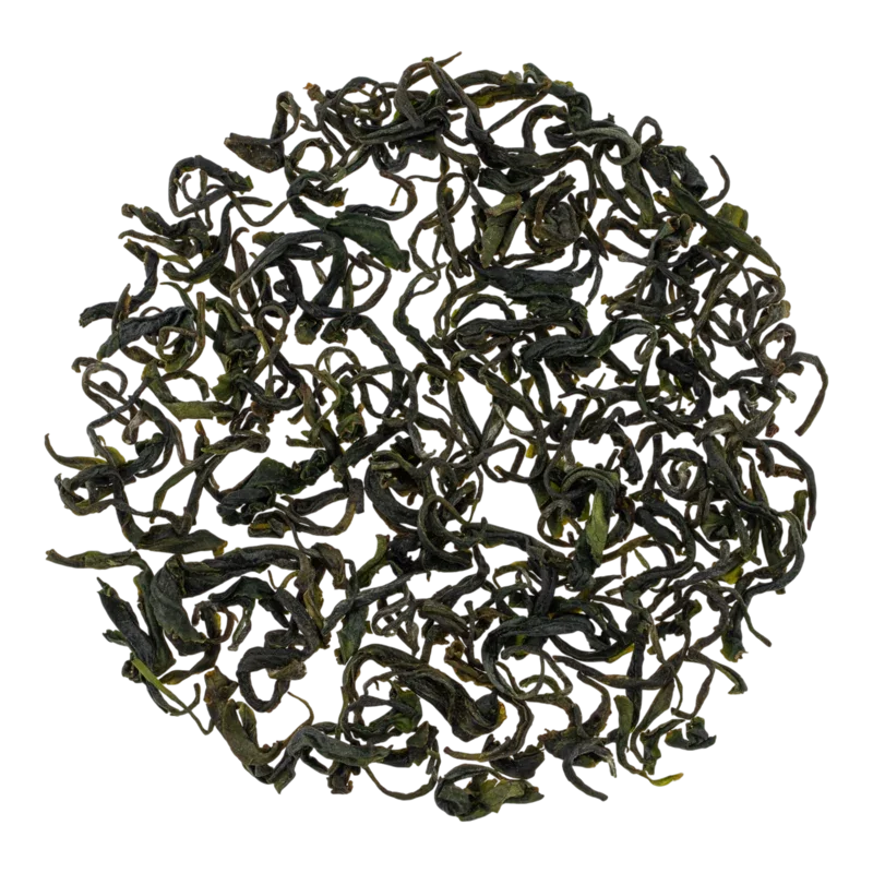 Zūnyì máofēngchá