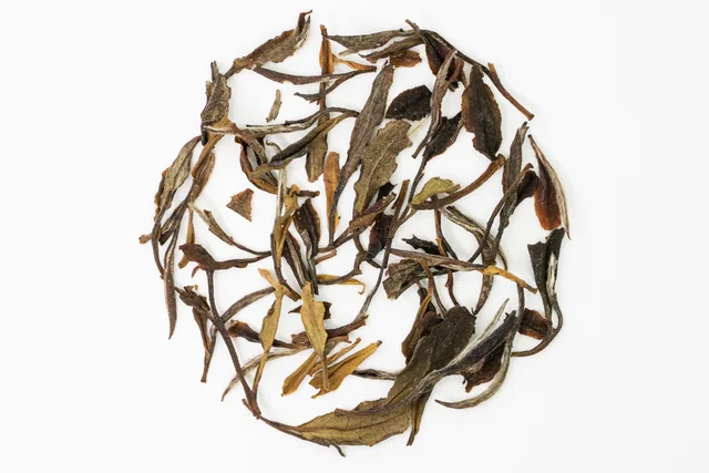 白牡丹老茶