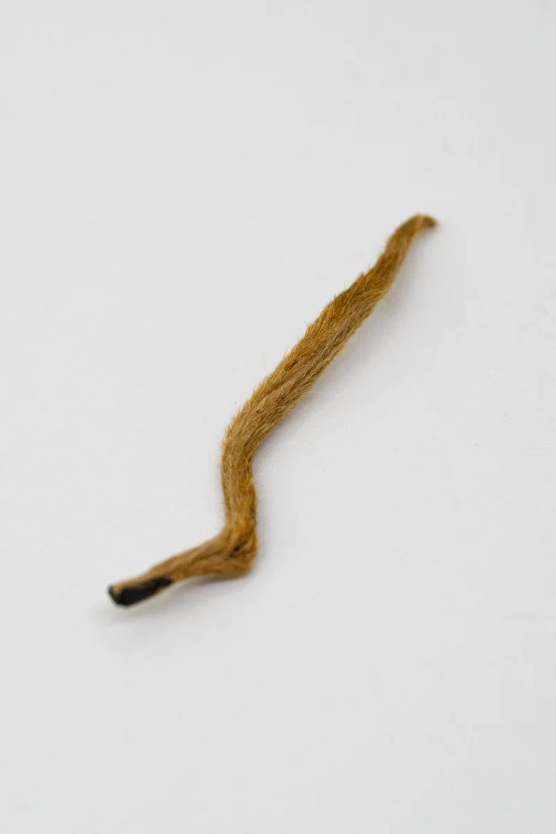 Diān Hóng Jīn Sī