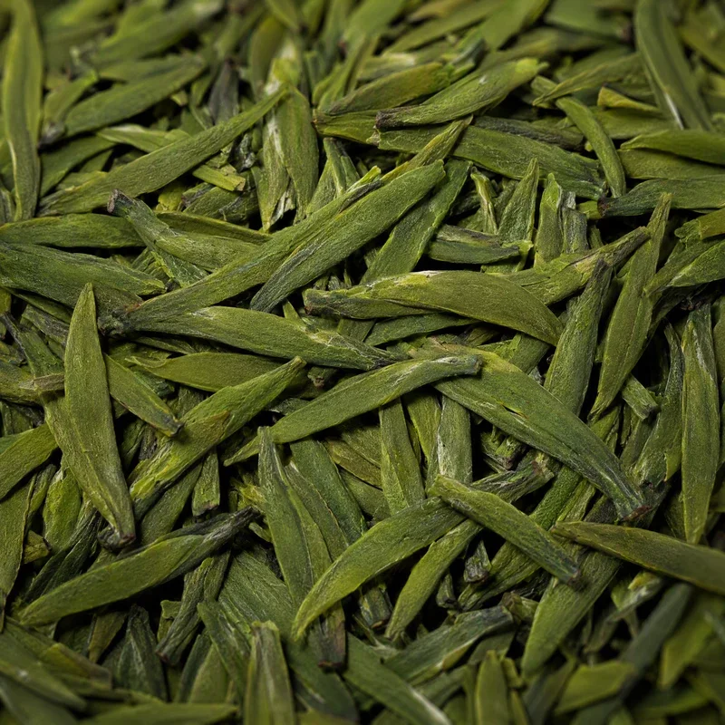 天府龍芽