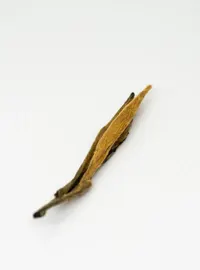 Diān Hóng Sòng Zhèn