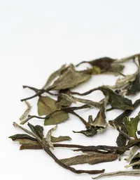 Mǔdān Wáng