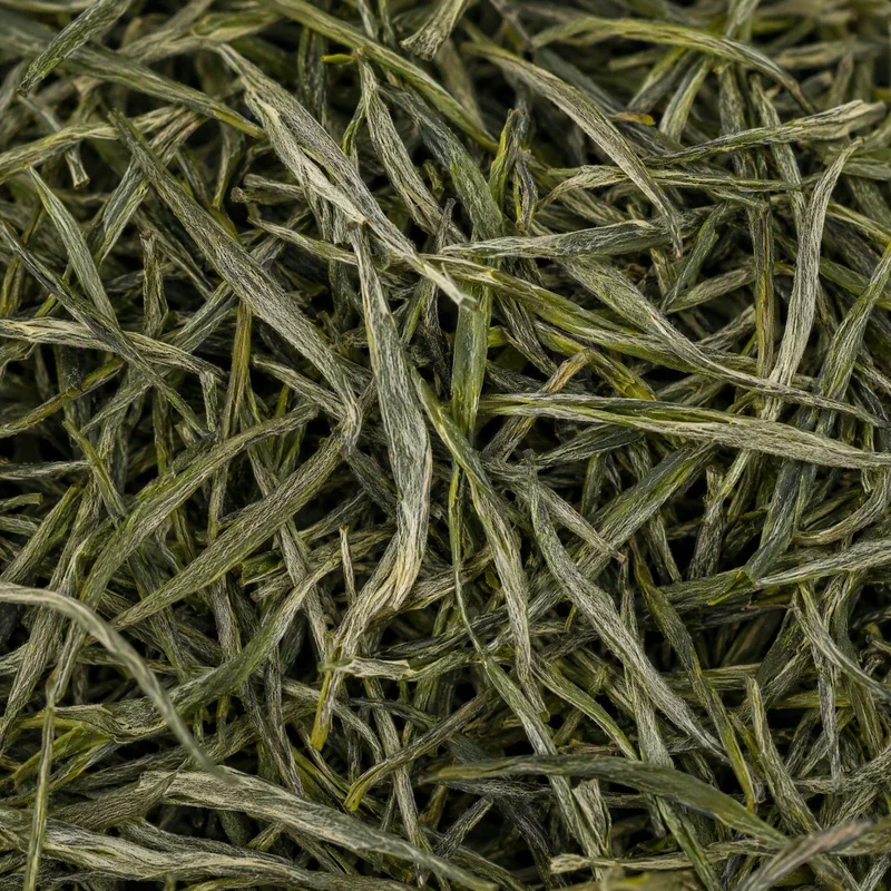 Gǔzhàng Máo Jiān