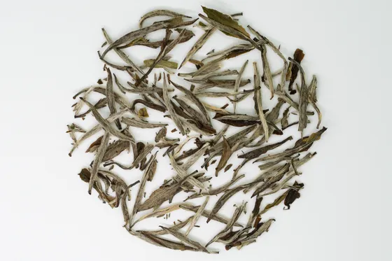 白毫银针老茶