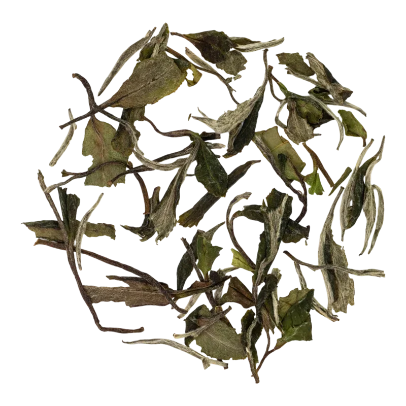 Mǔdān Wáng