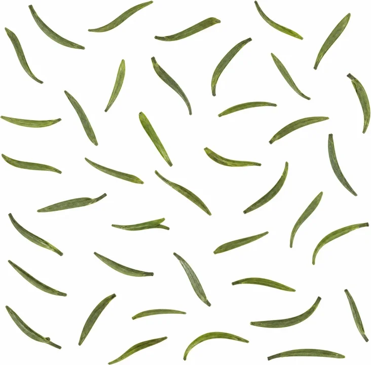 Hànzhōng Xiān Háo