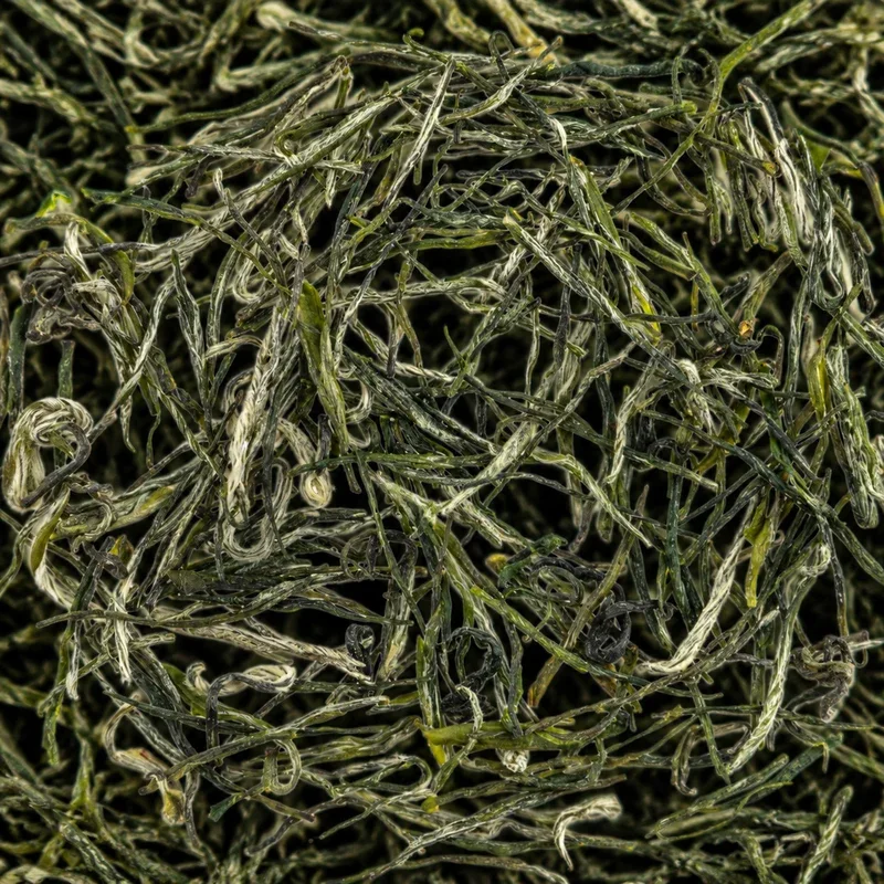 Zǐyáng Máo Jiān