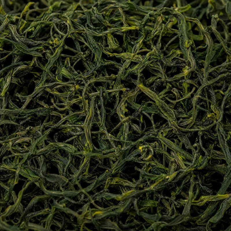 Sōngfēng Lǜchá