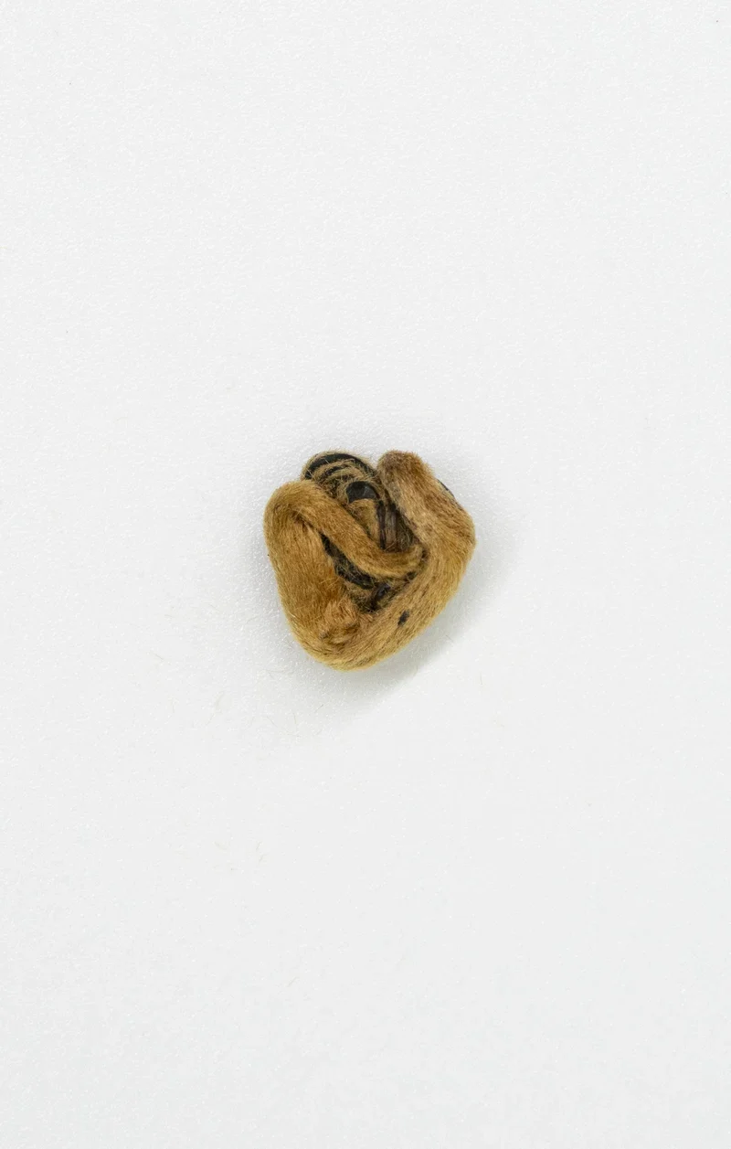 Diān Hóng Jīn Luó