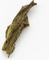 岳陽黃茶