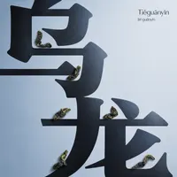 Tiěguānyīn