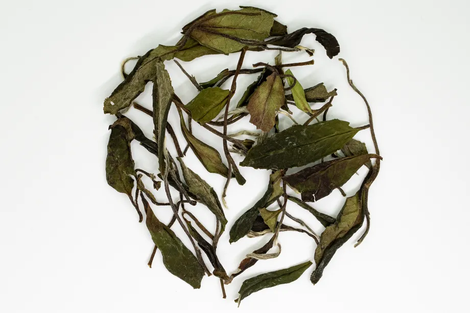 Shǒu Méi Xīn Chá