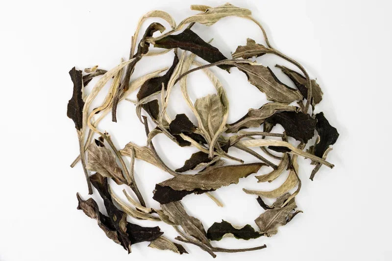 Yue Guang Bai