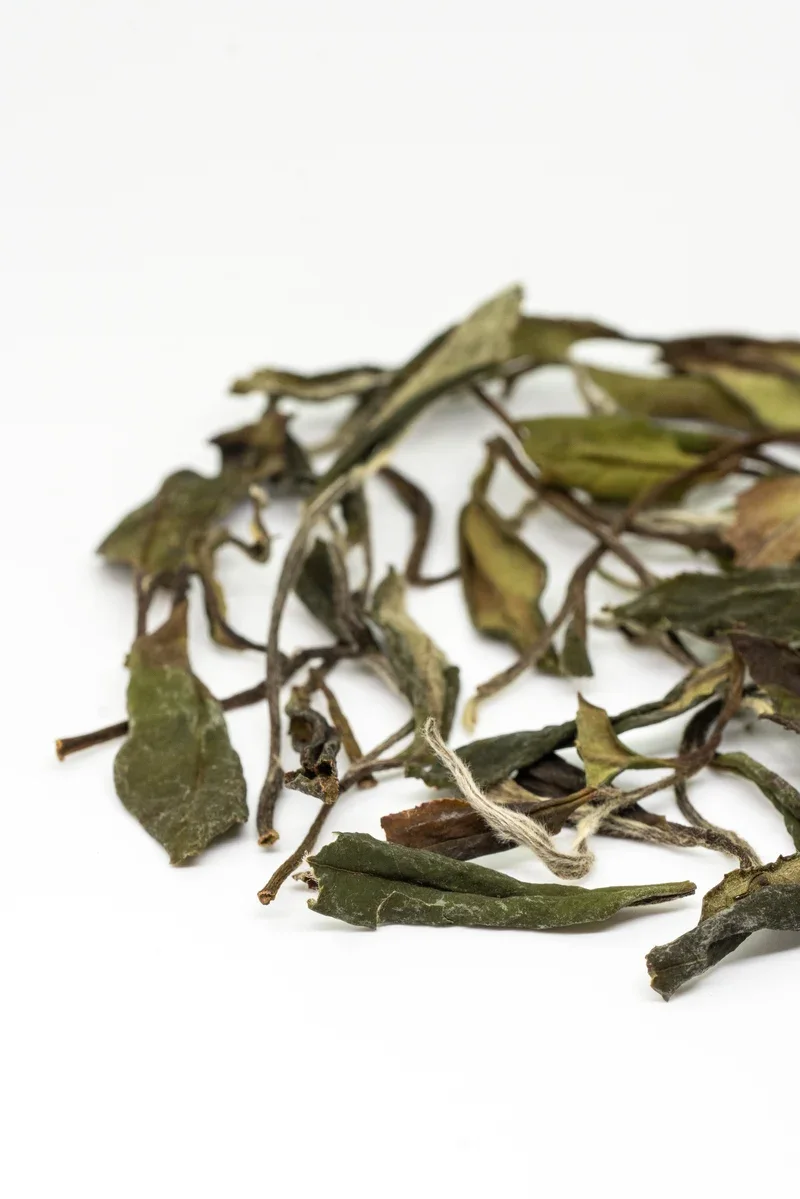 Shǒu Méi Xīn Chá