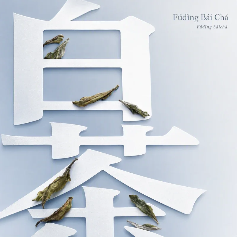 Fúdǐng Bái Chá