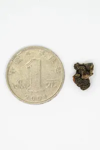 Líshān Oolong
