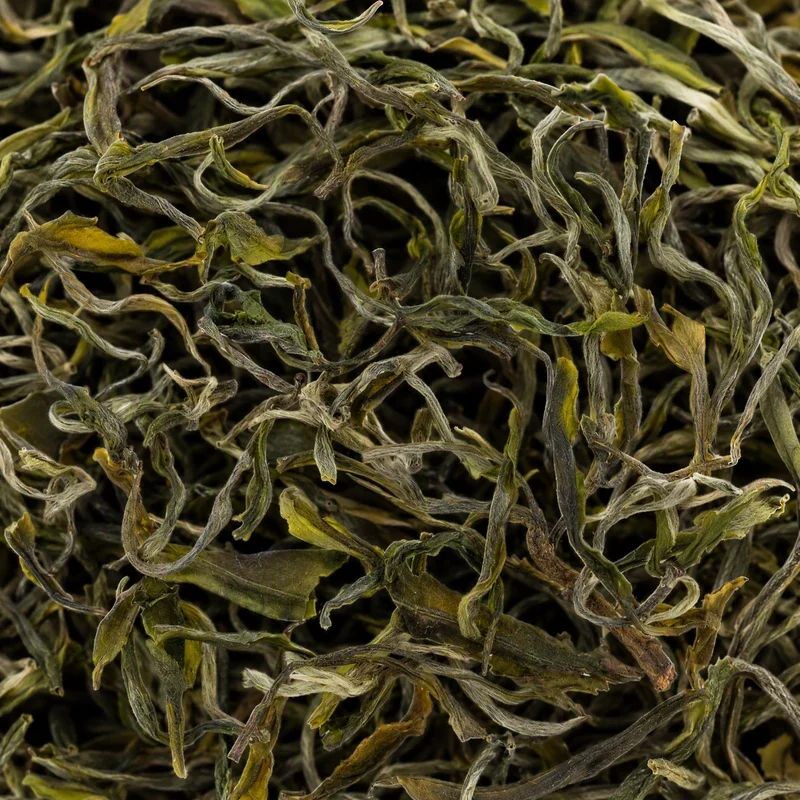 Cangshan Xue Lü