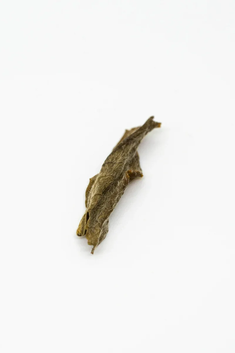 Yuèyáng Huáng Chá