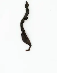 Yúnnán Gǔ Shù Hóng Chá