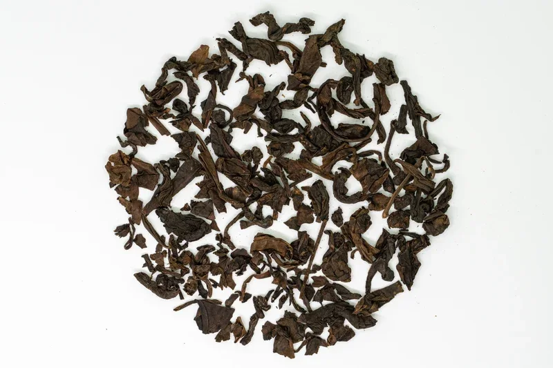 Jaan Hei Cha