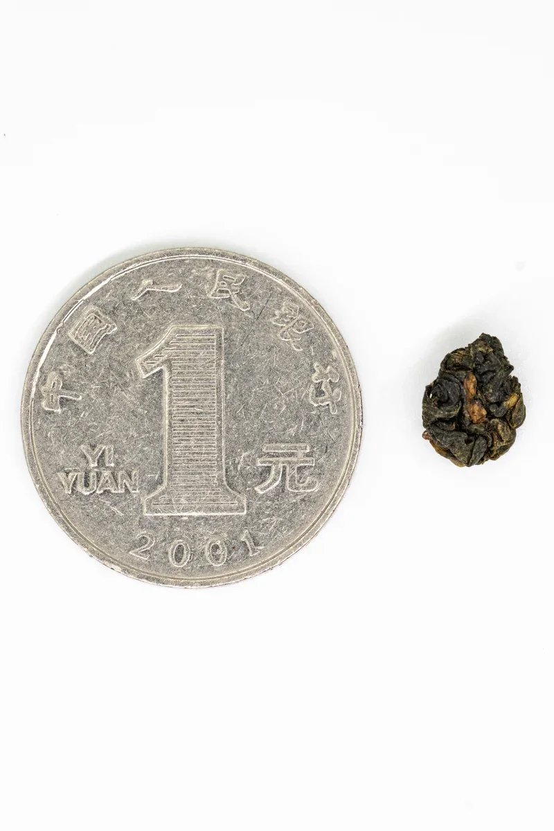Alishan Oolong