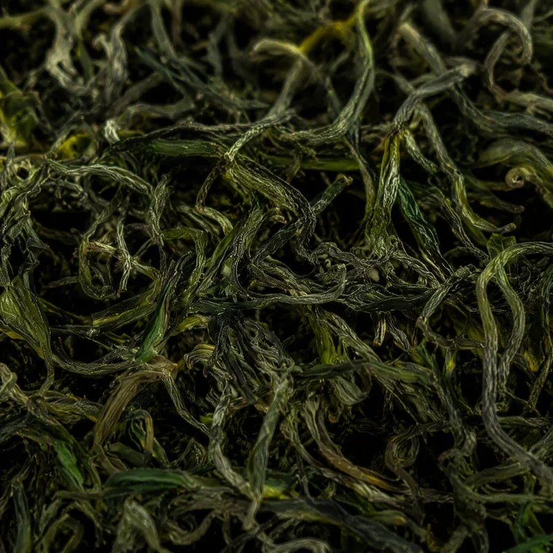 Tǎquán Yún Wù