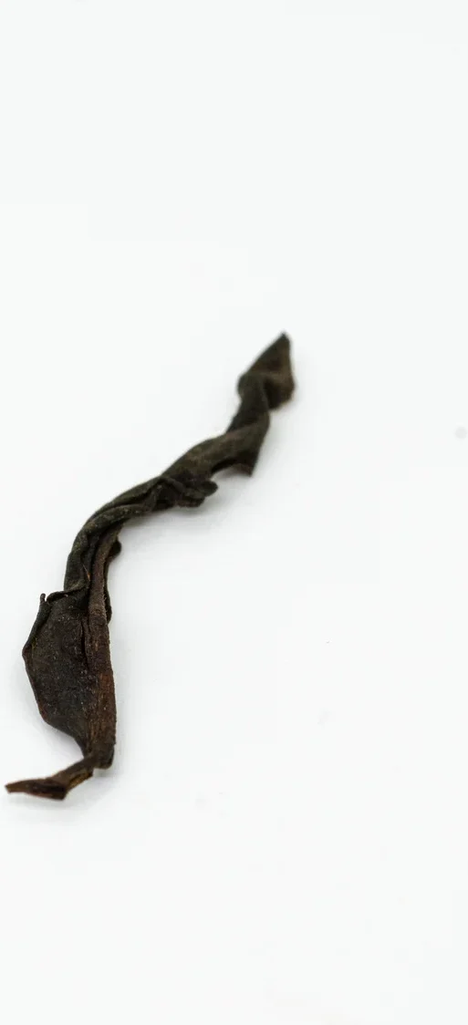 Yúnnán Gǔ Shù Hóng Chá