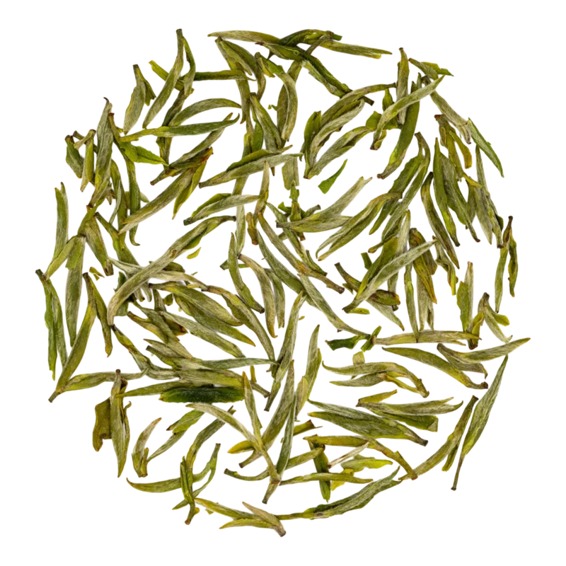 Huángshān Máofēng