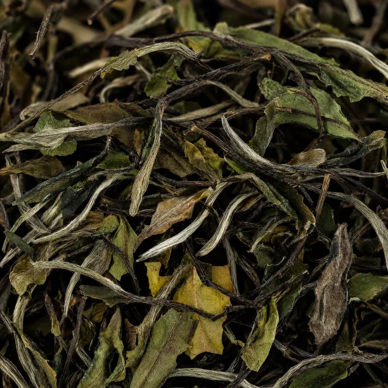 Jiànyáng Bái Chá