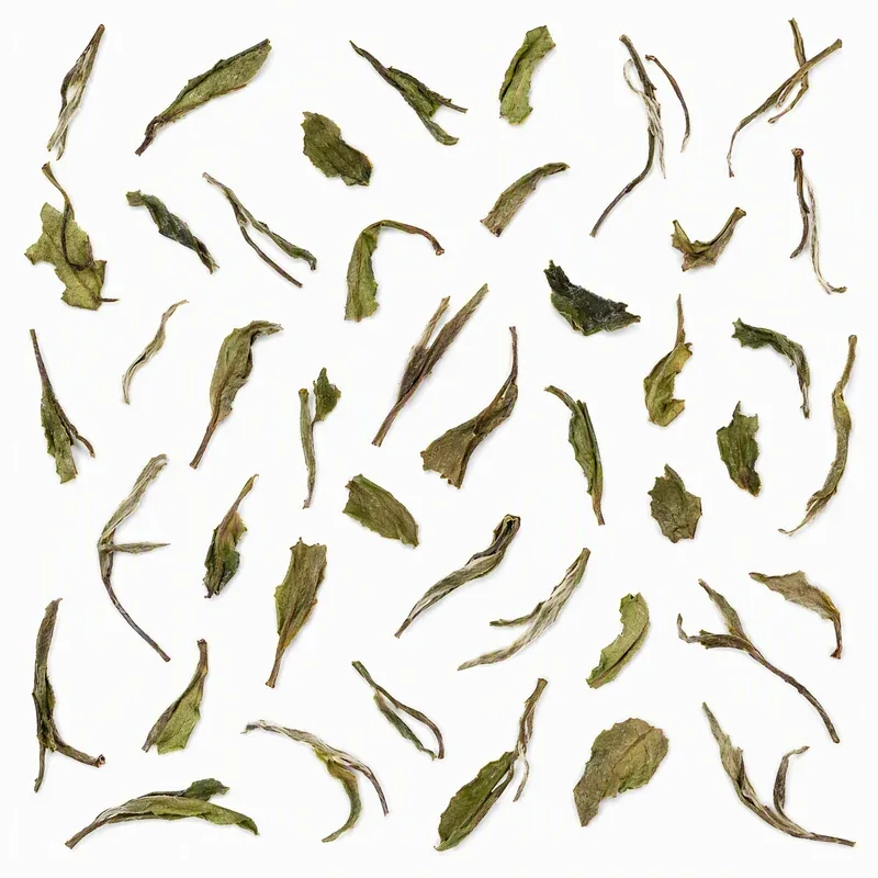 Bái Mǔdān Xīn Chá