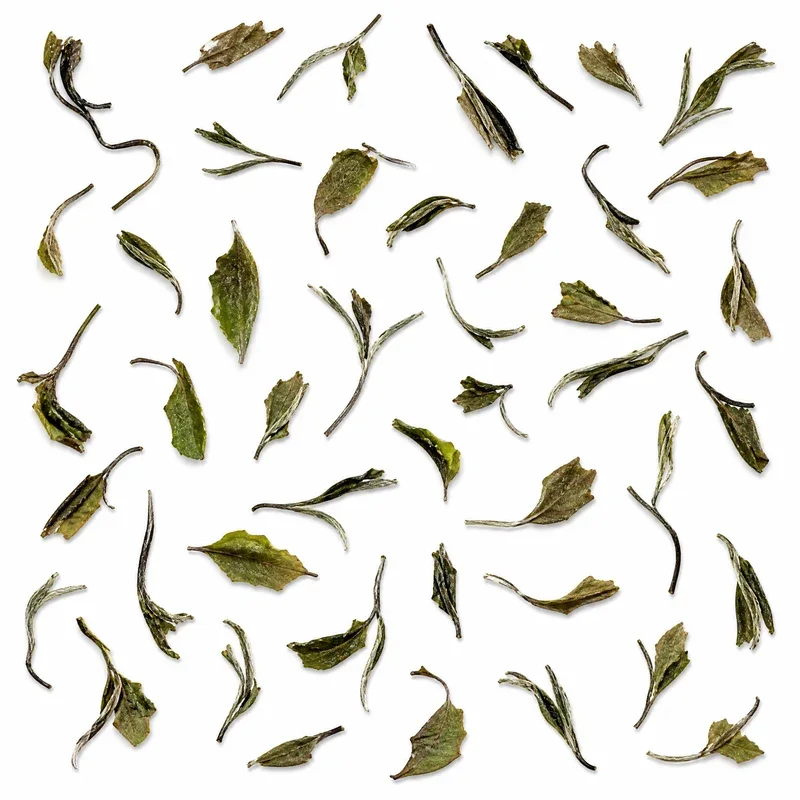 Mǔdān Wáng