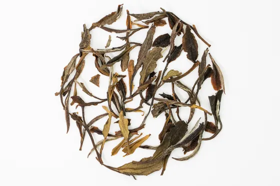 白牡丹老茶