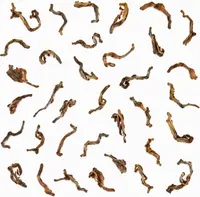 Da Jin Ya Shu Pu-erh