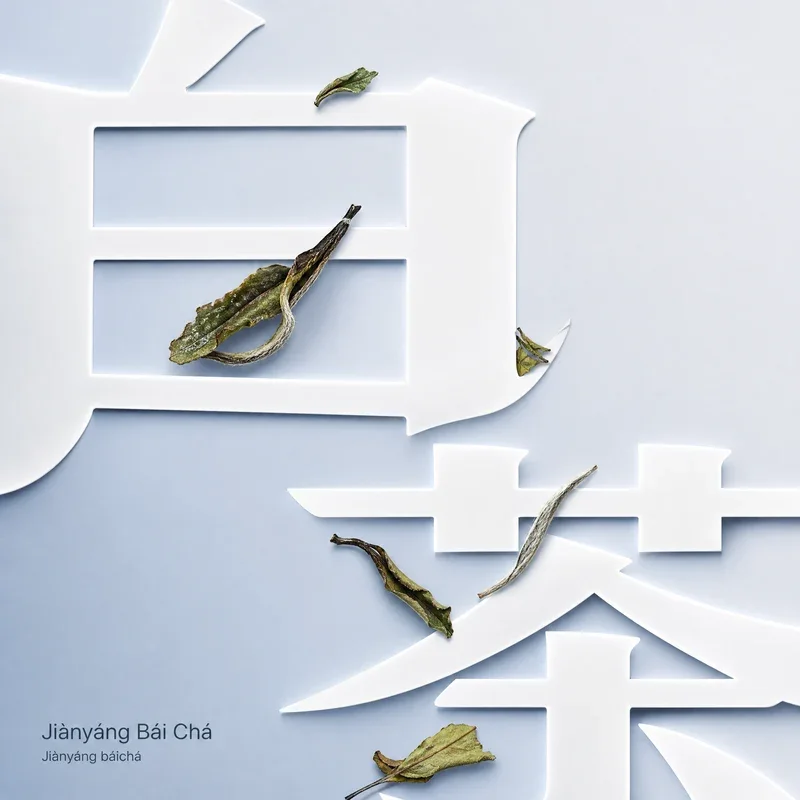 Jiànyáng Bái Chá