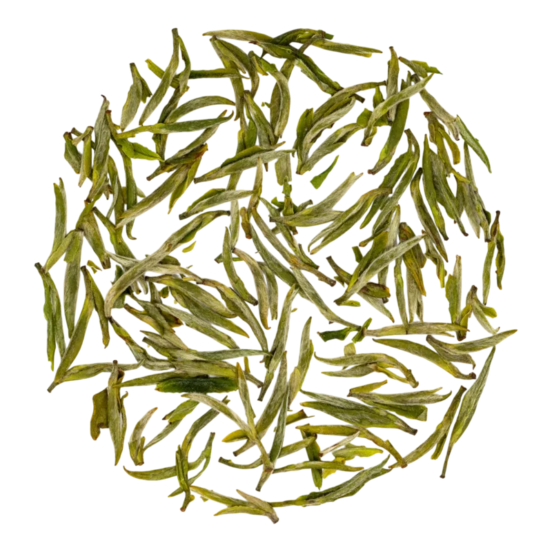 Huángshān Máofēng