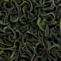 Yíméng Yù Yá