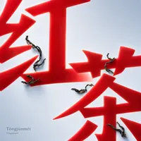 Tóngjùnméi