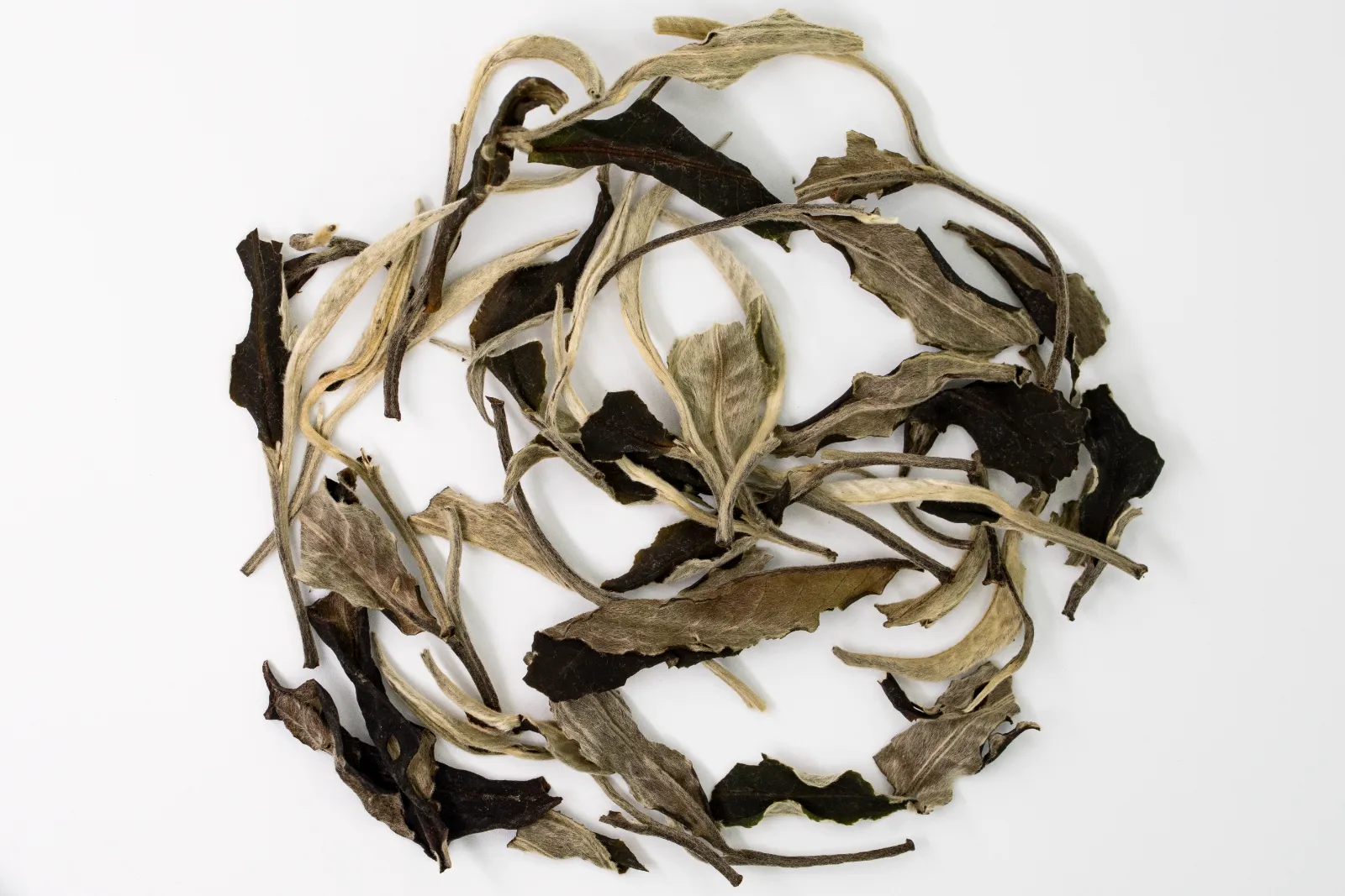 Yue Guang Bai